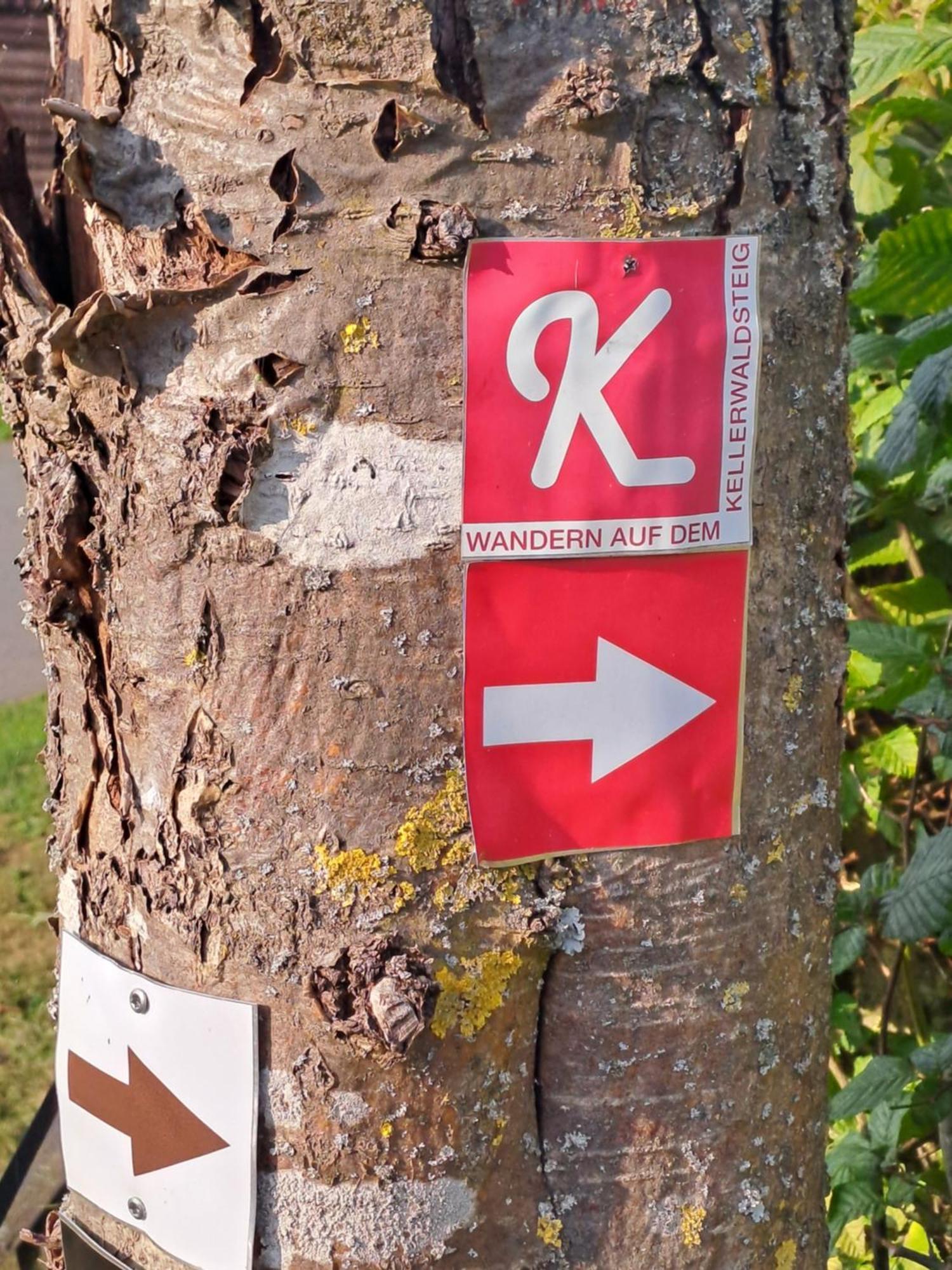 Ferienwohnung Schaefer Am Nationalpark Kellerwald Frankenau Eksteriør billede